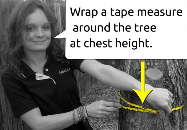 tape measure position